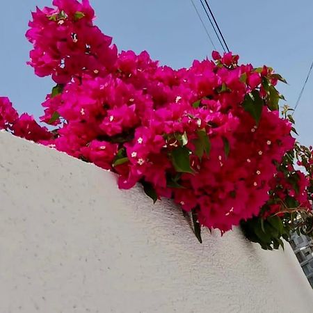 Ona Apartament Saranda Zewnętrze zdjęcie